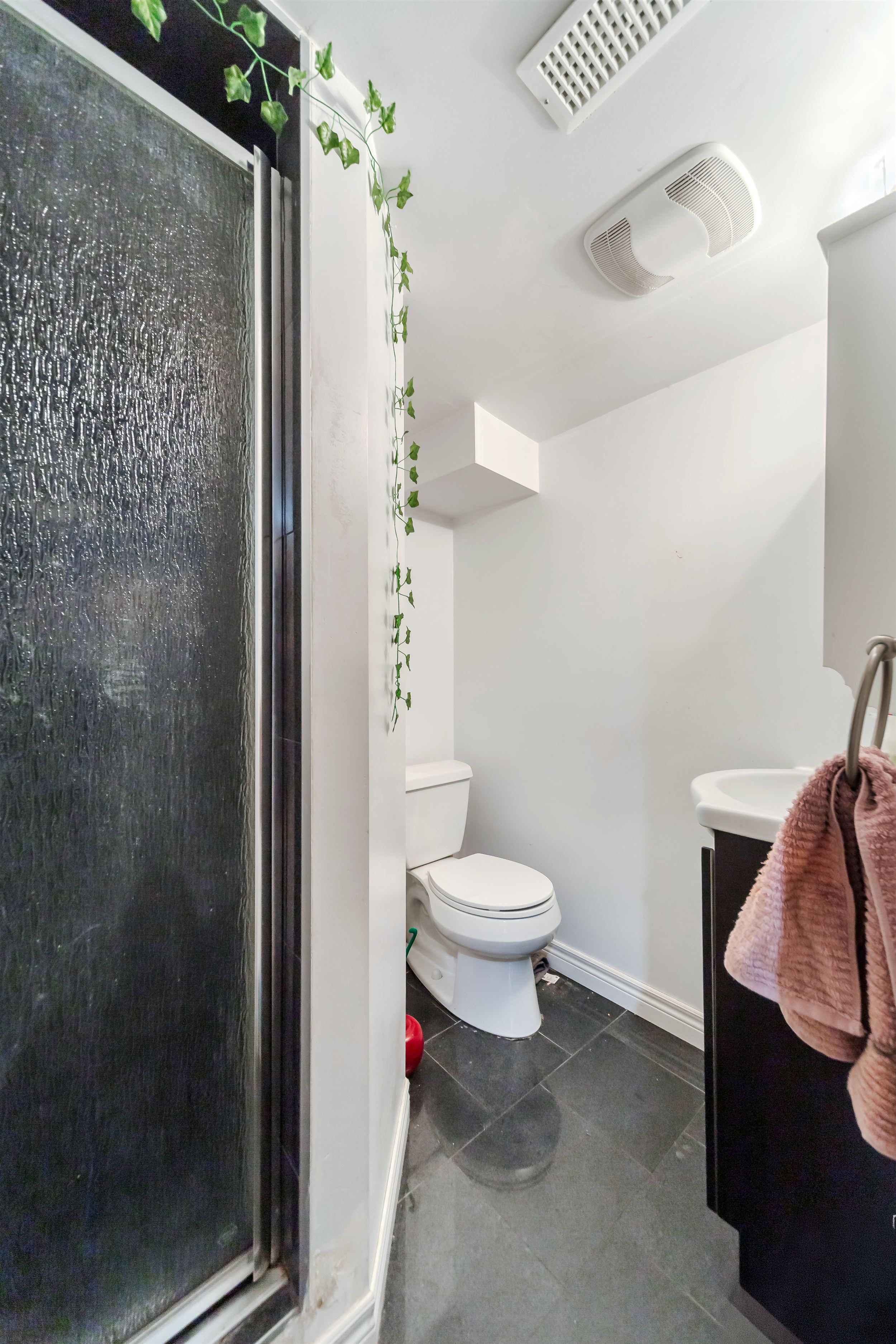 Lower Level Bathroom